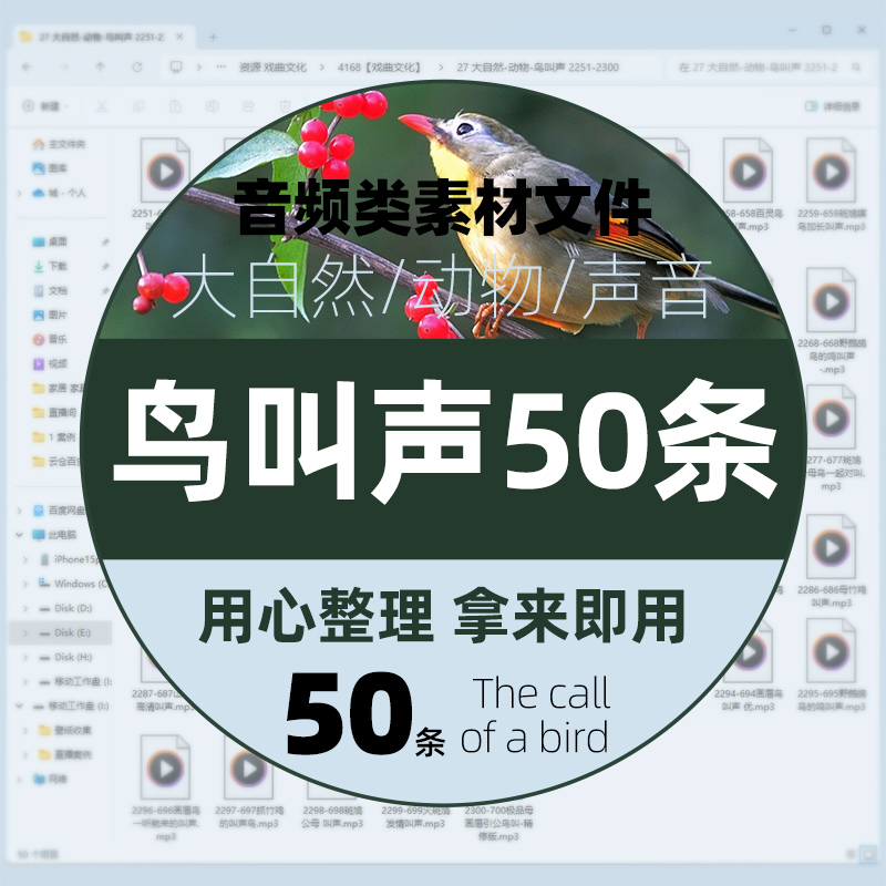 大自然动物/鸟叫声50条